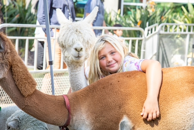 Girl with Alpaca